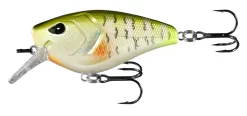 13 Fishing Troll Hunter Crankbait -Pro Fishing Shop 13FISHING 09 fbd62434 db68 4c51 86ff 3dc18c605165