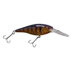 BERKLEY FLICKER SHAD (Part 1) -Pro Fishing Shop 61gRhGeIPPL. SY355 a51a6d85 1577 41f9 80fe 8746af70b35b