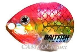 BAITFISH SPINNER HARNESS 11 BAITFISH SPINNER HARNESS - Image 11