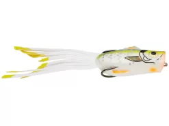 Strike King - Kvd Popping Perch -Pro Fishing Shop Sexy Bluegill 7b81e04d 38f1 4b34 844e b2c437a2081a