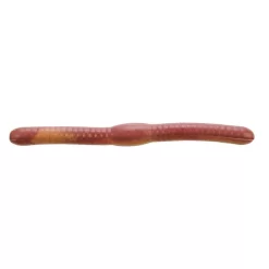 Berkley - Gulp Fat Floating Trout Worm 7 Berkley - Gulp Fat Floating Trout Worm -Pro Fishing Shop berkhdpic1265860 1000x1000 88ed9ad4 9427 474e b175 b323e1e0bb49